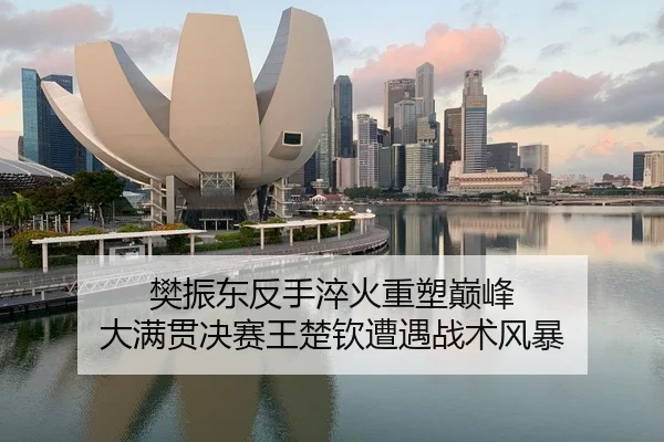 樊振东反手淬火重塑巅峰 大满贯决赛王楚钦遭遇战术风暴 - yaxin